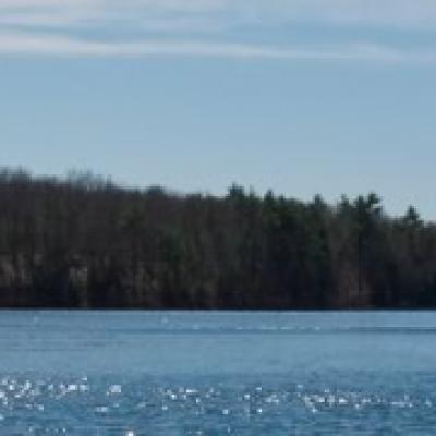 Walden Pond4